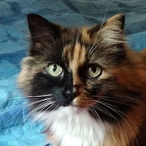 Meet your Posher, Joanna